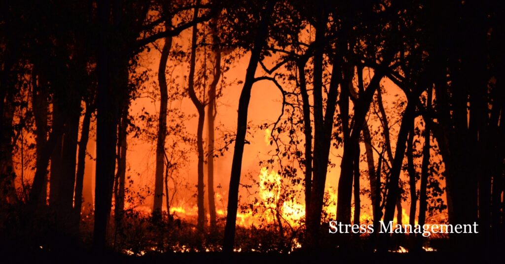 wildfires and other times of crisis can cause natural disaster trauma