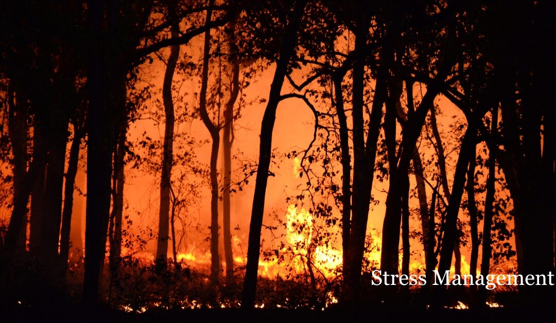 Natural Disaster Trauma: Coping After the LA Fires