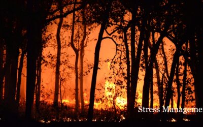 Natural Disaster Trauma: Coping After the LA Fires